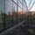 Reflection, PLU 18